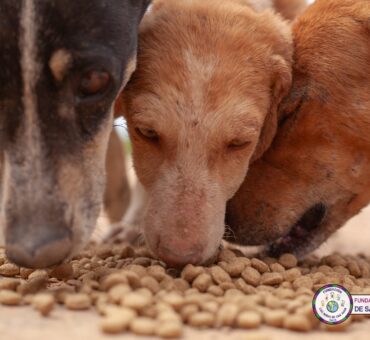 563464240_1210115894477740_8806978662214278047_n